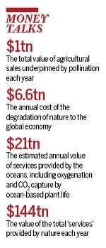 How to make money out of the environment - while saving it