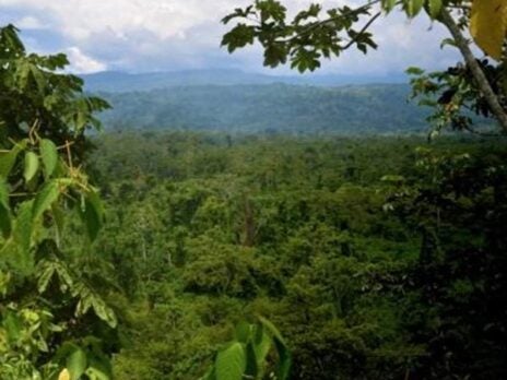 Johan Eliasch on why he's saving millions of acres of rainforest