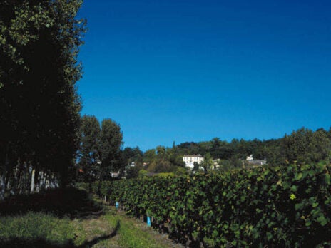 Domaine de Bellevue wine club offers vineyard ownership perks minus dregs