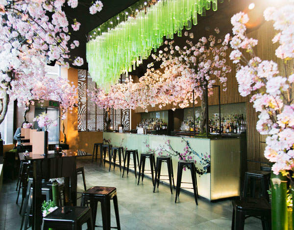 Celebrate the cherry-blossom season with Sakura at Sake No Hana