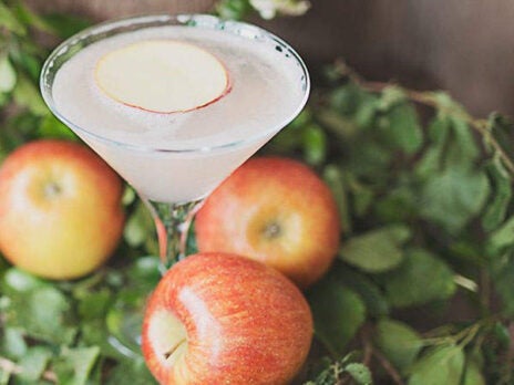 Guest recipe: Chase Distillery's Rhubarb and Raspberry Martini
