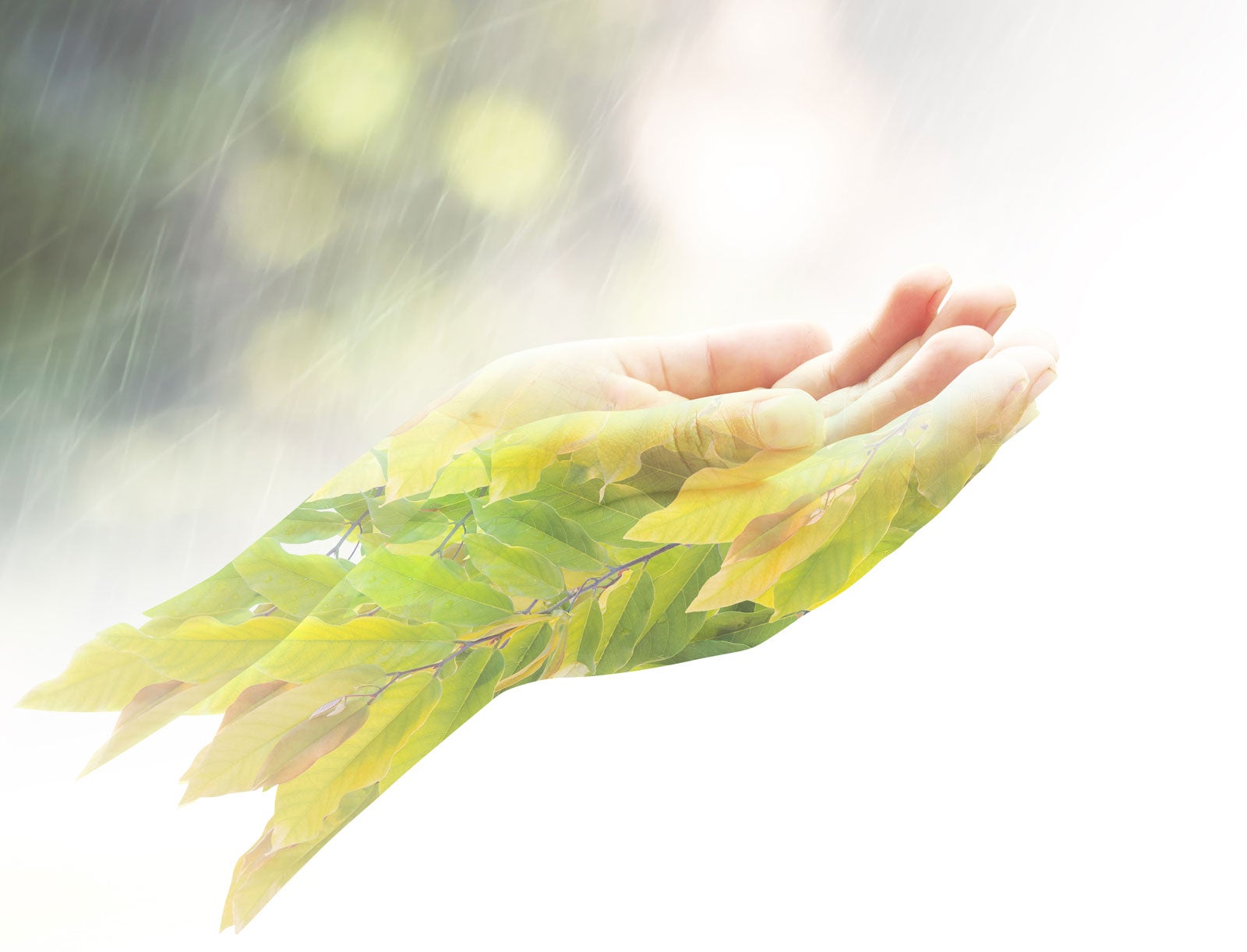 Philanthropy in the era of 'Toxic Donations' - expert view Philanthropy in the era of 'Toxic Donations' - expert view