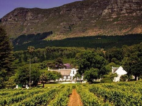 AfrAsia Bank Cape Wine Auction woos collectors, socialites and philanthropists alike