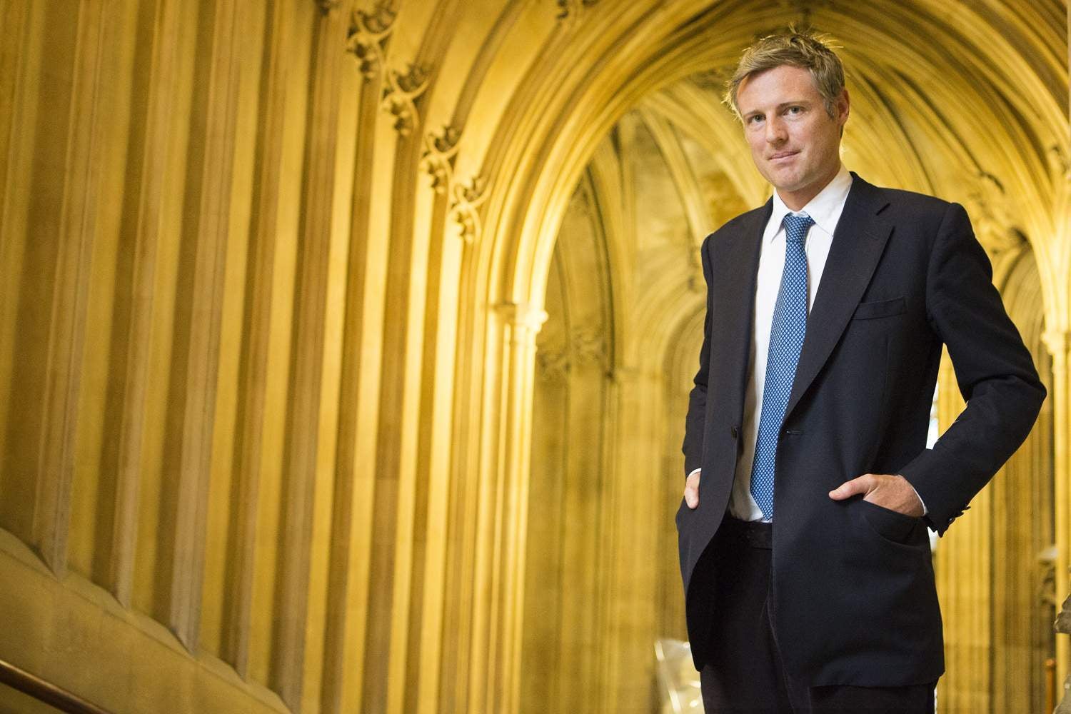 Goldsmith is the safe and pragmatic bet for London business