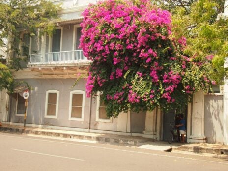 Why Pondicherry's Indo-French charm continues to enchant