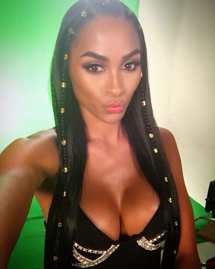 Ashley Nicole Roberts Net Worth Ashley Nicole Roberts Net Worth