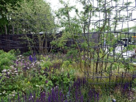 Breaking Ground Garden triumphs at Chelsea Flower Show