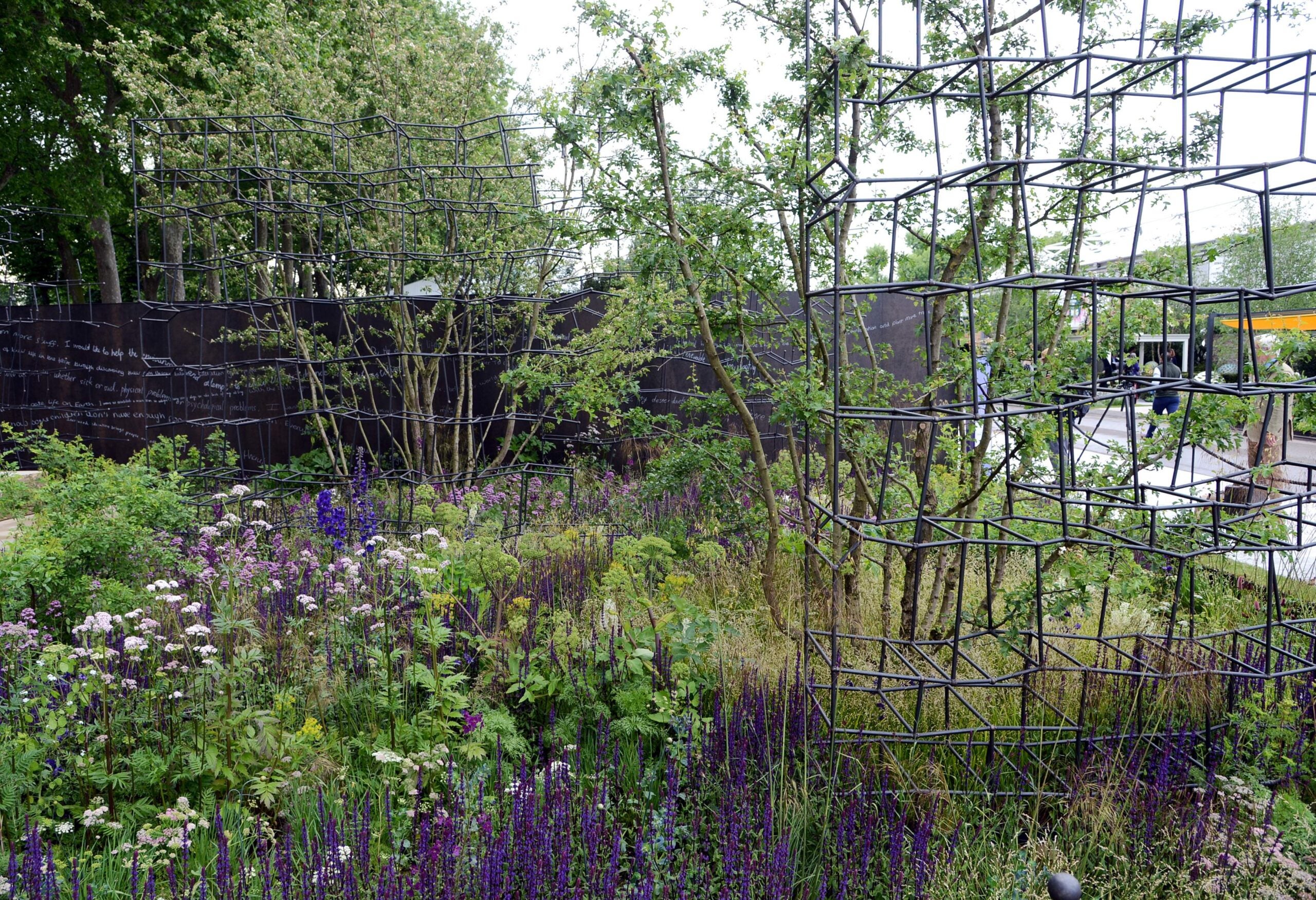 Breaking Ground Garden triumphs at Chelsea Flower Show