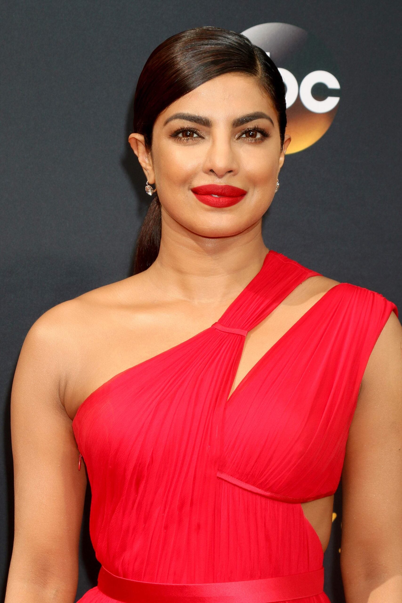 Priyanka Chopra net worth