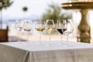 Wine glass types