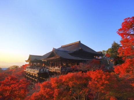 Kyoto travels: discovering the blossoming taste of Japan
