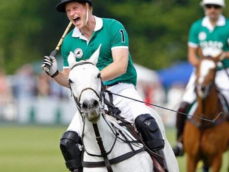 The economics (and madness) of polo