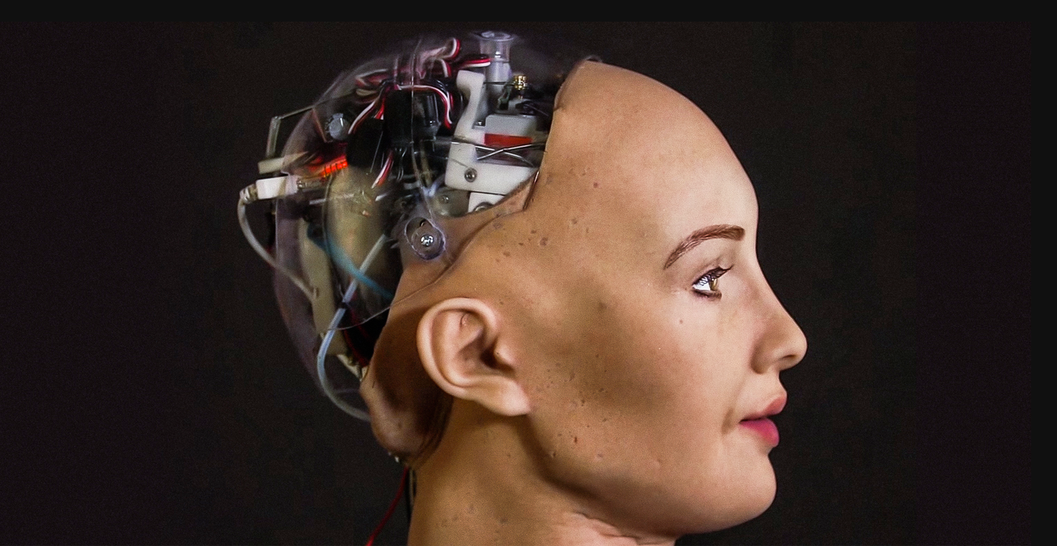 Why investors should befriend robots and their creators Why investors should befriend robots and their creators