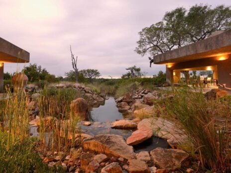 Safari in style at Sabi Sabi's Earth Lodge in South Africa
