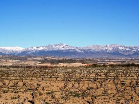 Jonathan Ray on Rioja: 'The quality level has soared recently'
