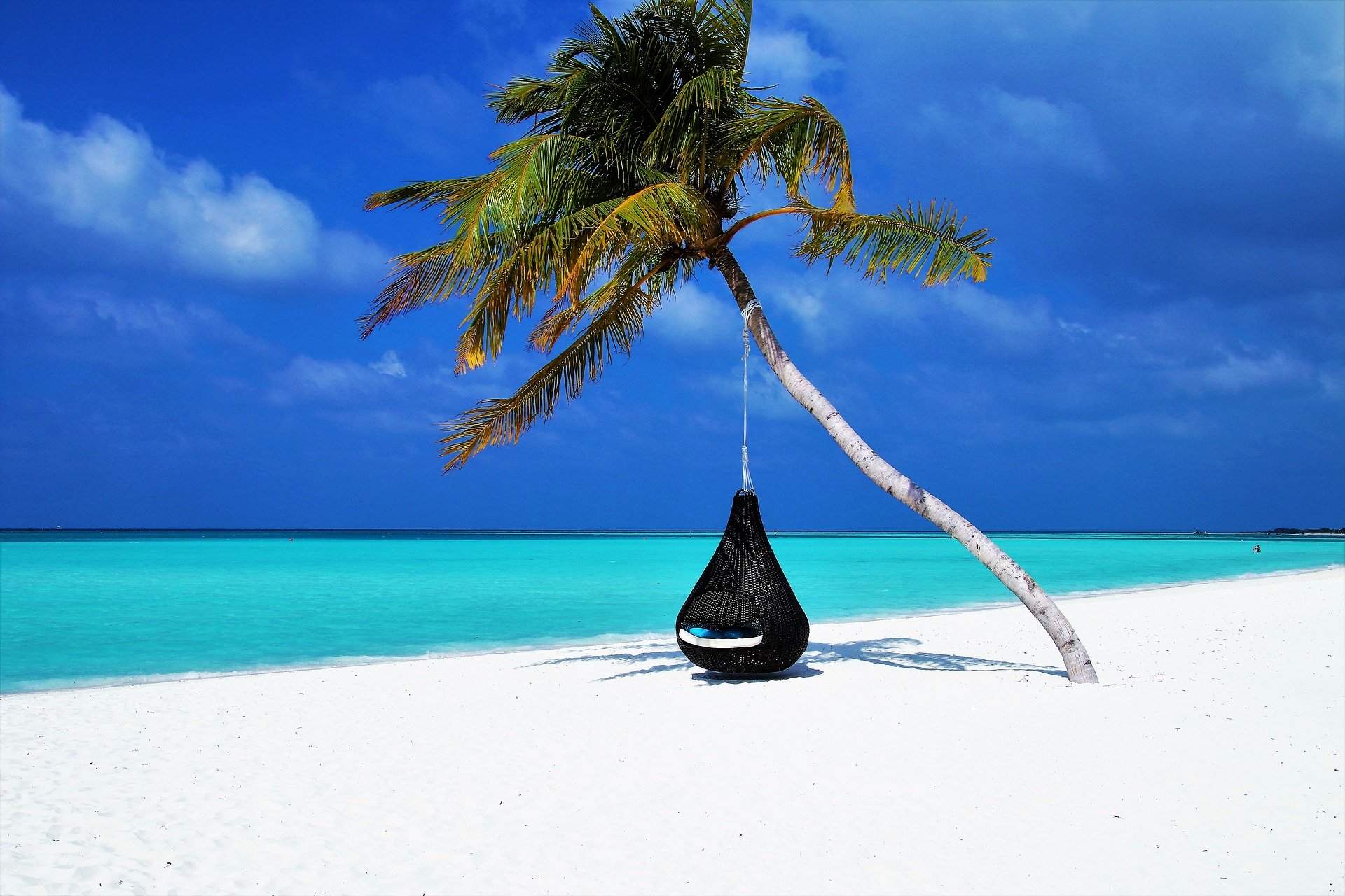 How HNW travel companies are 'finding ways to do their bit' How HNW travel companies are 'finding ways to do their bit'