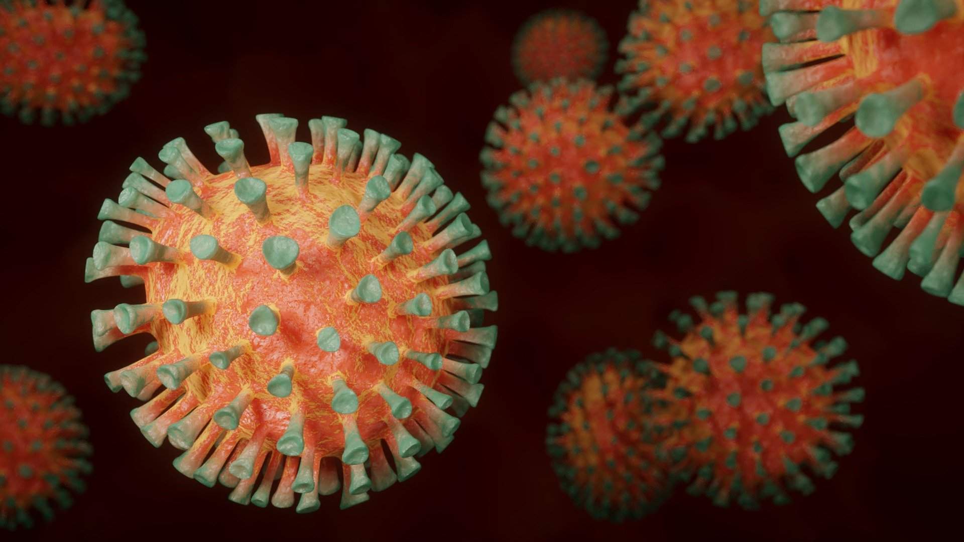 Investors are ‘75 per cent through the fear’ of the coronavirus crisis, says Stonehage Fleming