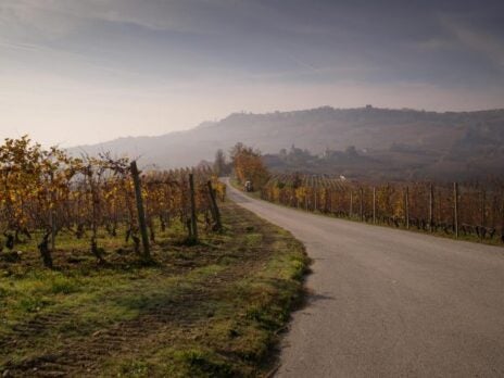 Discover the growers transforming Italian winemaking