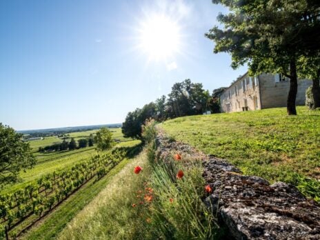 Grape expectations: Château Quintus's truly remarkable wine