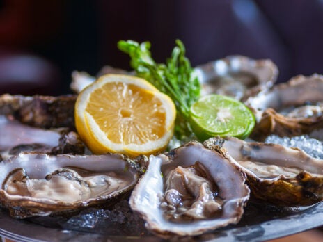 Restoring native oyster habitats could be key to reversing decades of marine life depredation