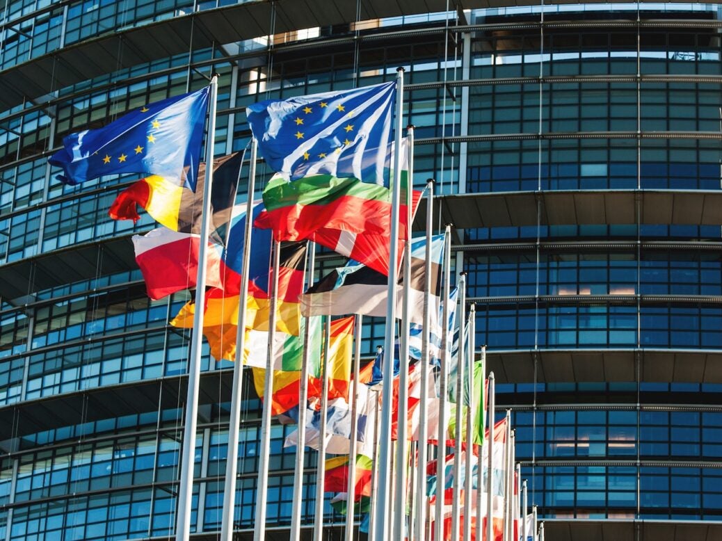 EU member flags