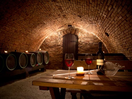 An Expert Guide to Starting Your Own Cellar