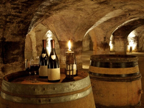 World of Fine Wine's definitive 2020 Burgundy vintage guide is a must-read