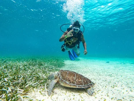Scuba Diving in Belize: Unlimited Adventure Awaits