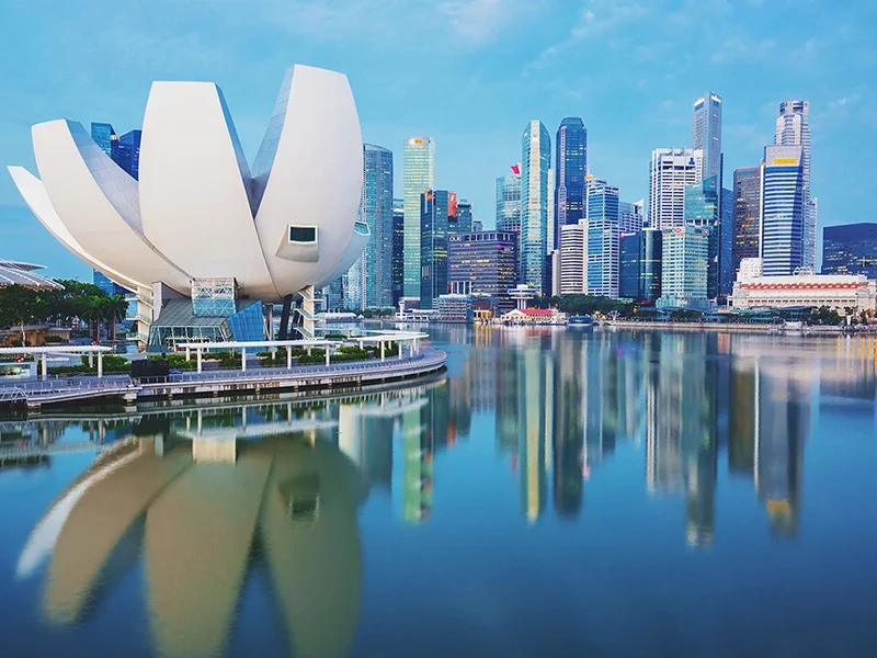 Singapore water lily skyline