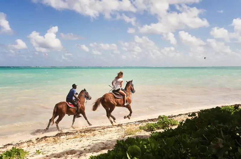 Go for a ride on the beach in the Swim with stingrays in the Cayman Islands