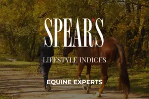 Best Equine Experts 2024