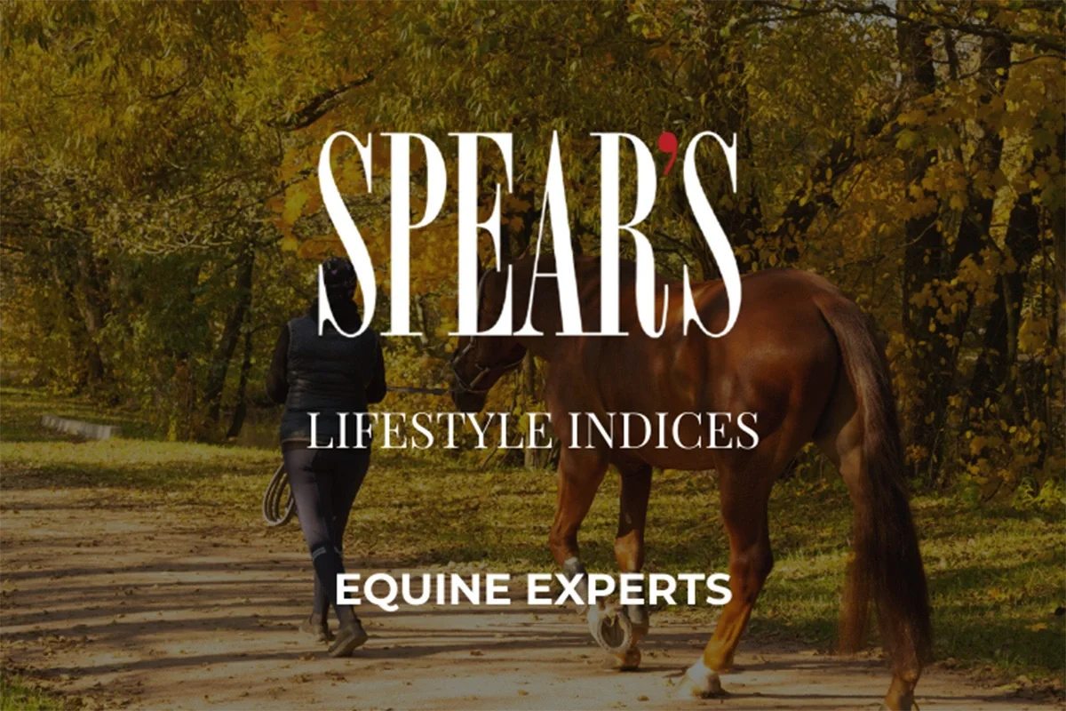 Best equine experts for high-net-worth individuals in 2024 Best equine experts for high-net-worth individuals in 2024