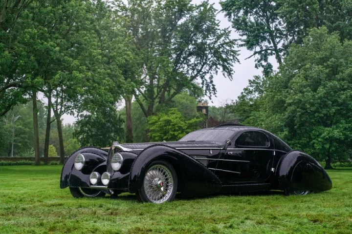 Black Pacific in a field surrounded by nature