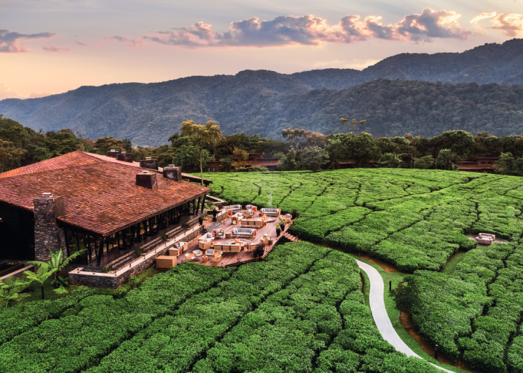 One&Only Nyungwe House is surrounded by the plantations of Gisakura