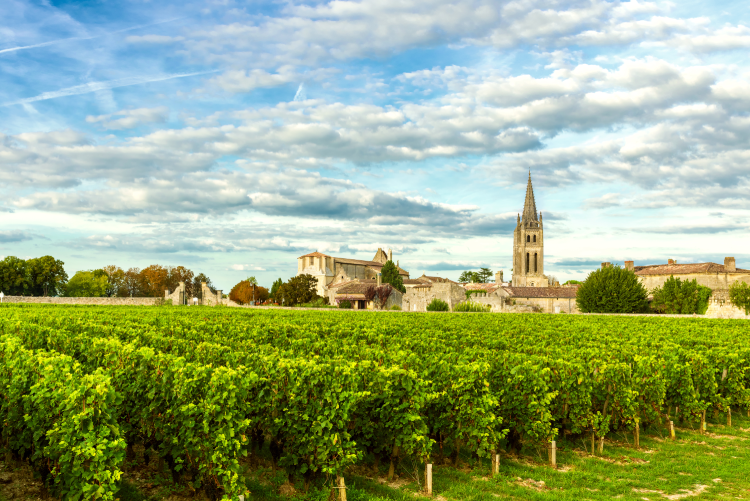 Vineyards of Saint-Emilion / Image: Shutterstock