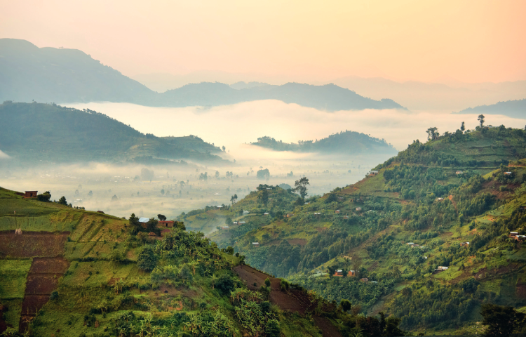 Virunga National Park, one of Rwanda's infamous mist-covered landscapes / Image: Shutterstock