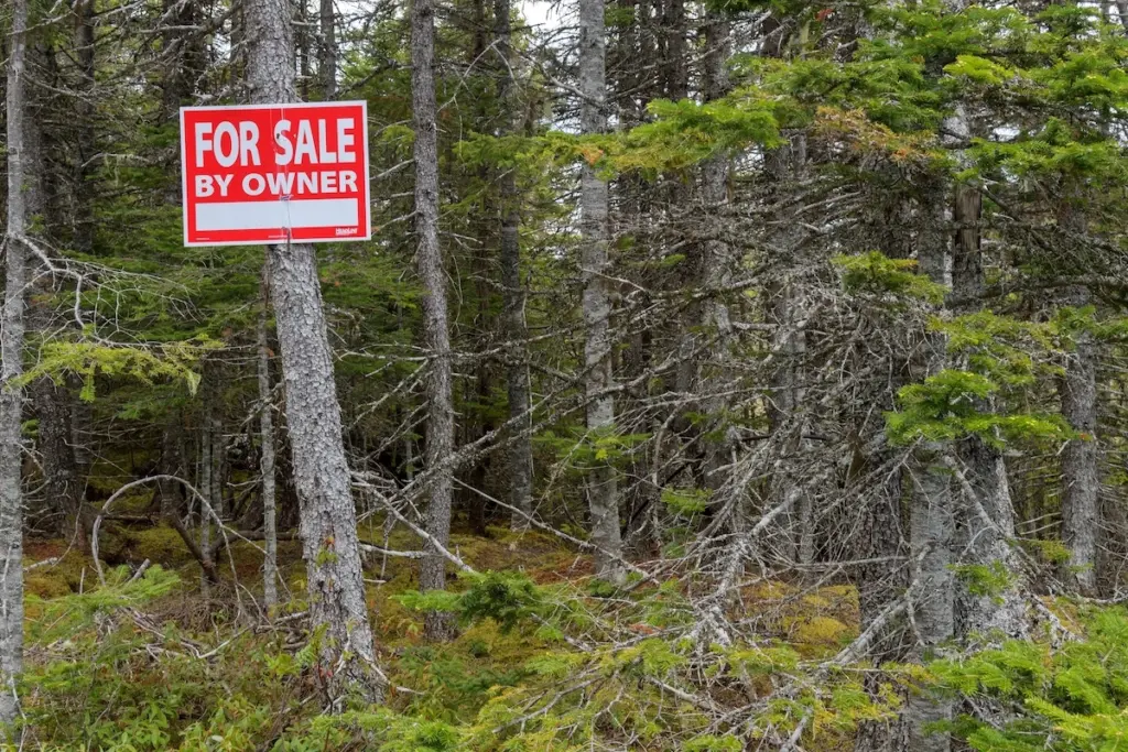 A 'for sale' sign on woodland 