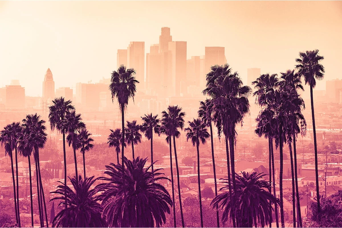 The 11 wealthiest cities in the US The 11 wealthiest cities in the US