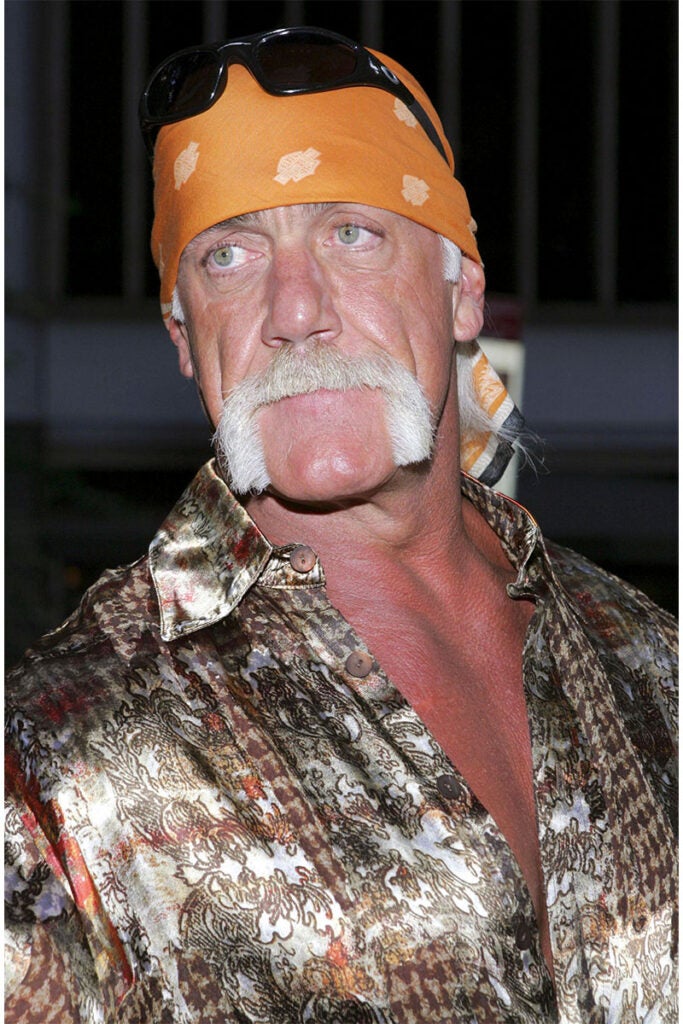 Terry Gene Bollea, better known by his ring name Hulk Hogan,