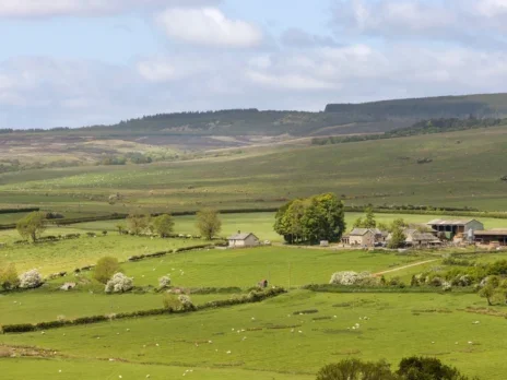 Lord Max Percy sells 9,500-acre Northumberland estate to the Wildlife Trust