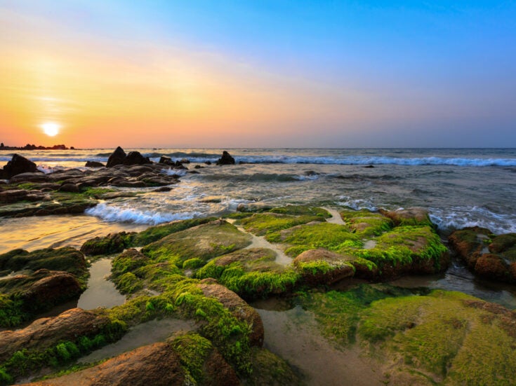 rocks by a river
