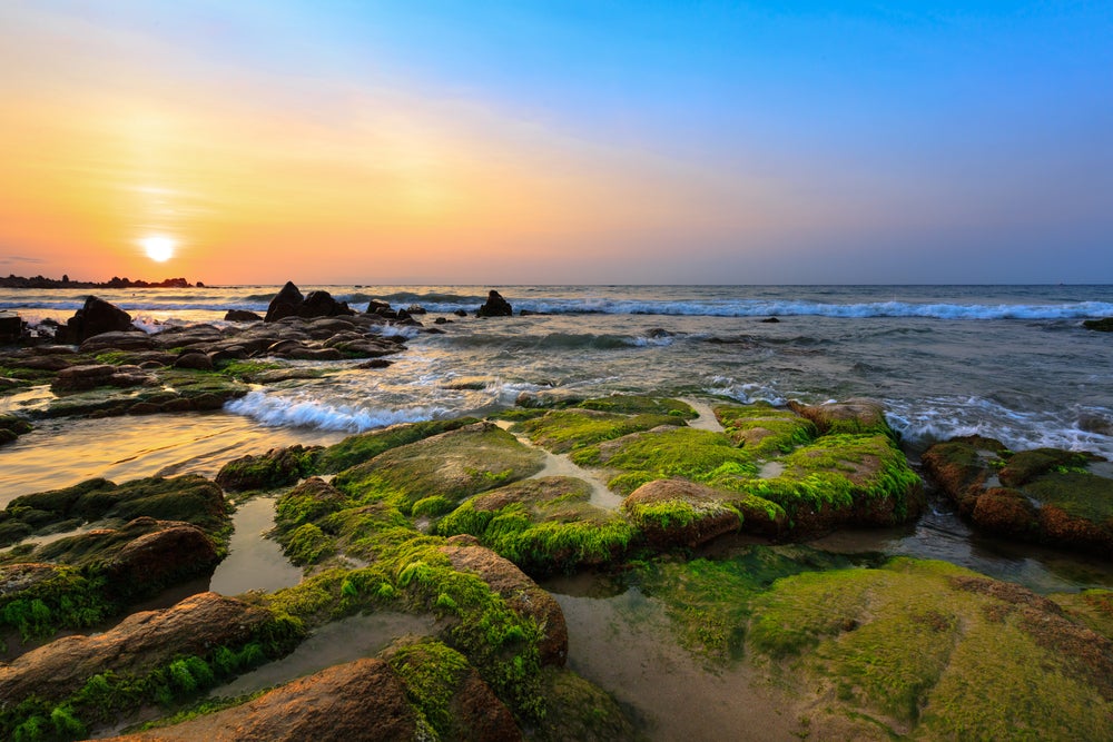 rocks by a river