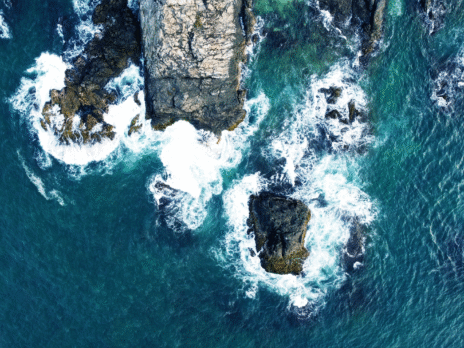 Online reputation management and digital equity in an age of global relocation