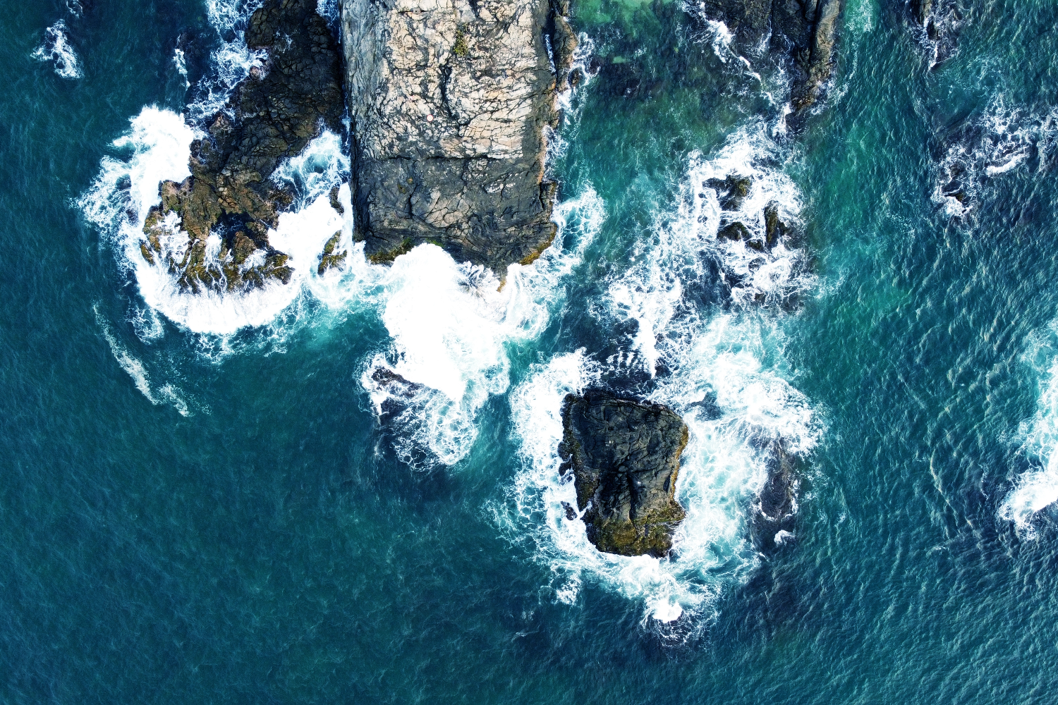 Online reputation management and digital equity in an age of global relocation