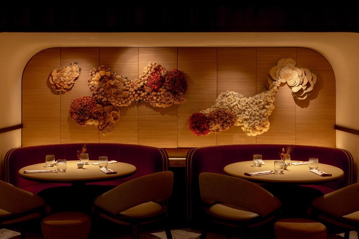 Bonheur by Matt Abé offers an ingredient-led approach to modern French dining in Mayfair